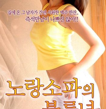 18+ Yellow Sofa’s Affair (2021) Korean Movie 720p HDRip
